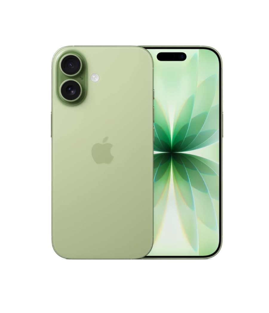Apple iPhone 17 512Gb Sage (eSim)