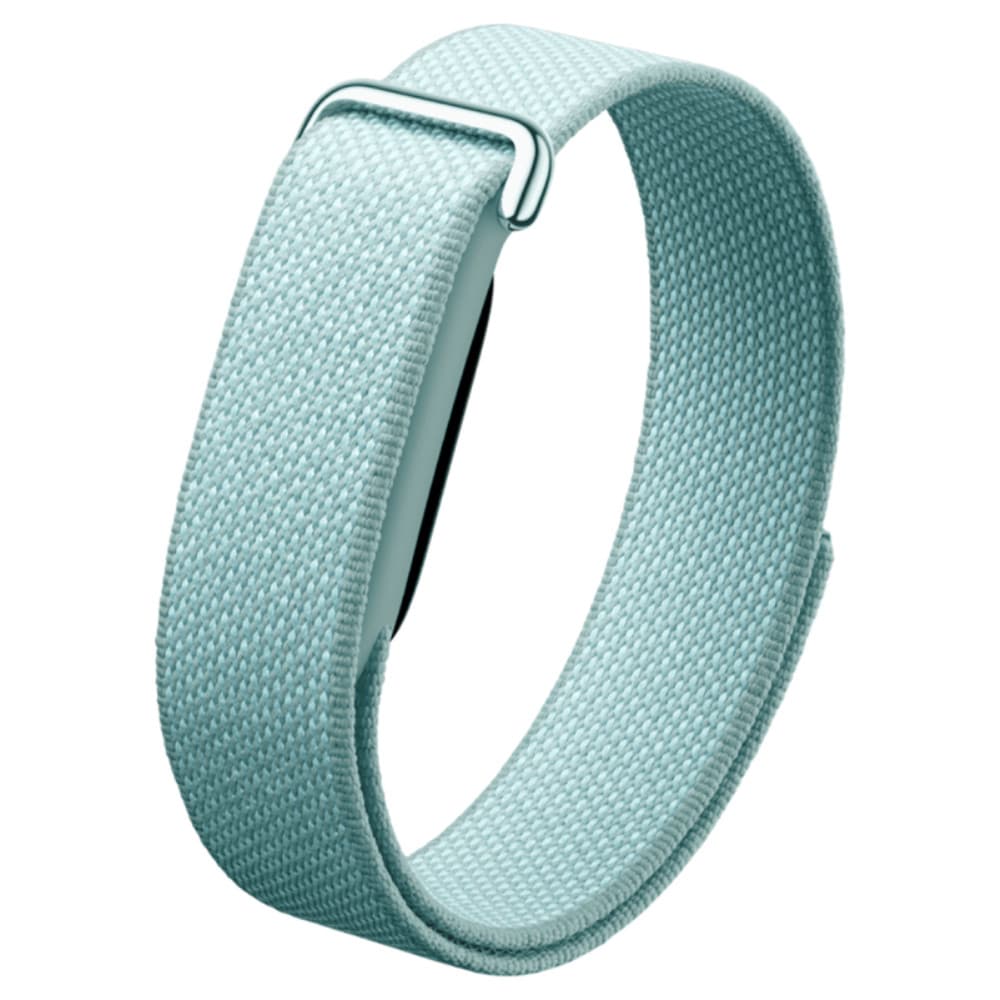 Фитнес-браслет Google Fitbit Air Fog (Зелёный)