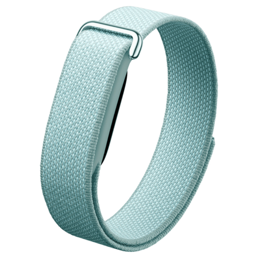 Фитнес-браслет Google Fitbit Air Fog (Зелёный)